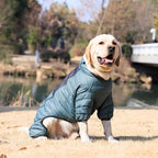 ArmyGreen Dog Jacket, 4-Legs Covered Waterproof Windproof Reflective Warm Dog Vest, Zippered Adjustable Outdoor Snow Jacket for Small/Medium/Large Dogs - XXXL