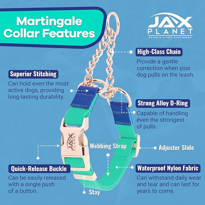 Jelly Waterproof Martingale Dog Collar, No Pull Nylon Collar with Alloy Metal Buckle & D-Ring for Outdoor Training and Walking, Anti Pull, Escape Free, One Time Adjustment - Turquoise & Blue, M