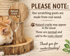 Aesthetic Flower Cat Tree Tower with Scratching Post for Indoor Cats, 30" H Modern Cat Tree with Natural Solid Wood Branch, Fluffy Cat Beds Removable & Large Scratching Board, Creamy White