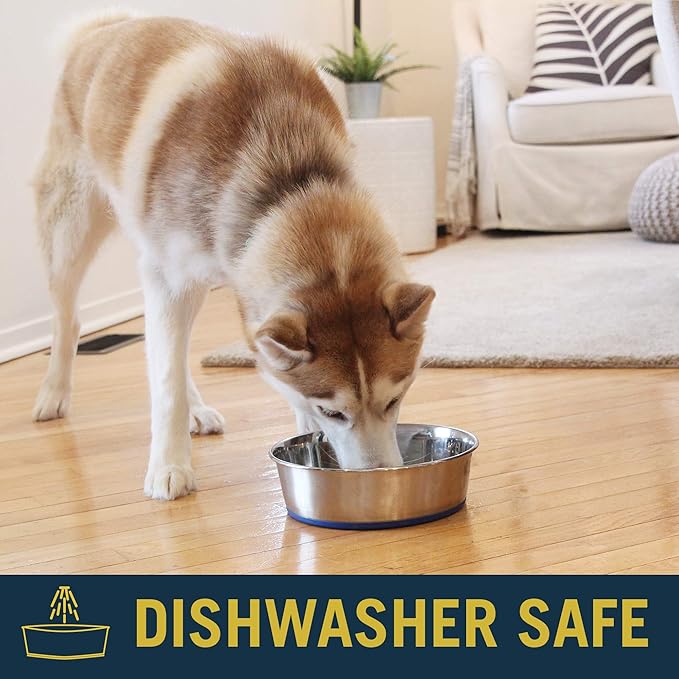 OurPet's DuraPet Premium Dishwasher Safe Stainless Steel Dog Bowl for Food or Water [Multiple Sizes for Small to Large Dogs] Extra Large (11 Cups)