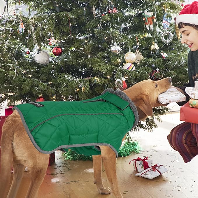 Fragralley Dog Coat Large, Waterproof Dog Jacket with Warm Fleece Lining, Adjustable Reflective Dogs Winter Coat, Turtleneck Pet Coats for Cold Weather (Green XXL)