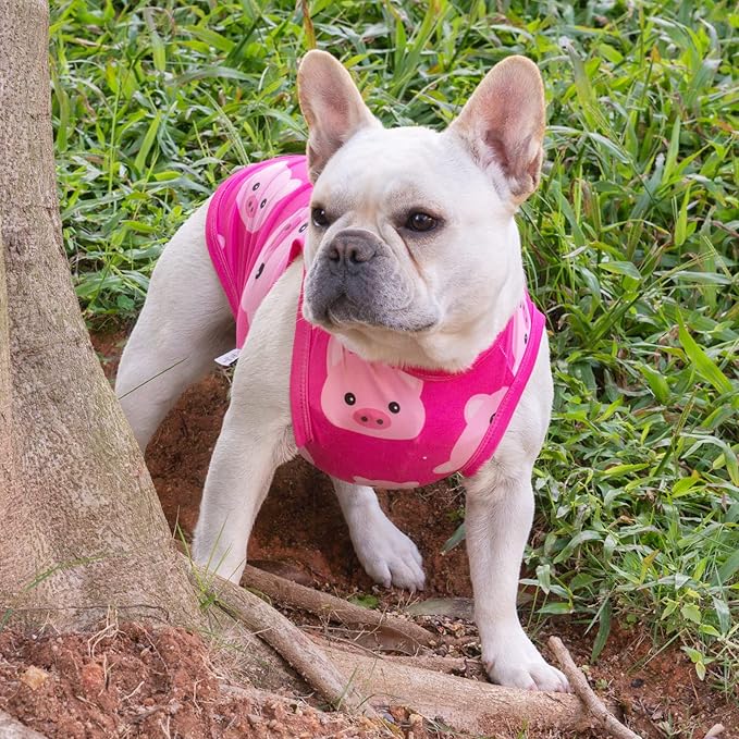 CuteBone Dog Shirts 2-Pack Soft Pet Clothes Breathable Summer Vest for Small Puppy and Stretchy Cat Apparel 2BX09L