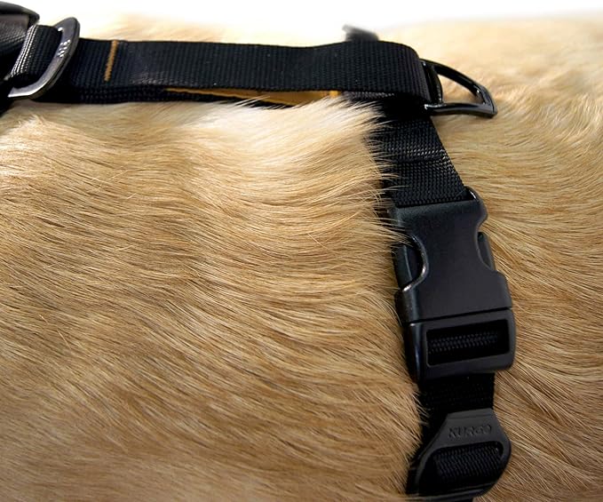 Kurgo Dog Harness | Pet Walking Harness | Small | Black | No Pull Harness Front Clip Feature for Training Included | Car Seat Belt | Tru-Fit Quick Release Style