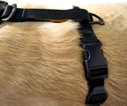 Kurgo Dog Harness | Pet Walking Harness | Small | Black | No Pull Harness Front Clip Feature for Training Included | Car Seat Belt | Tru-Fit Quick Release Style