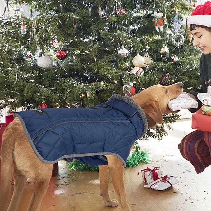 Fragralley Dog Coat Small, Waterproof Dog Jacket with Warm Fleece Lining, Adjustable Reflective Dogs Winter Coat, Turtleneck Pet Coats for Cold Weather (Blue S)