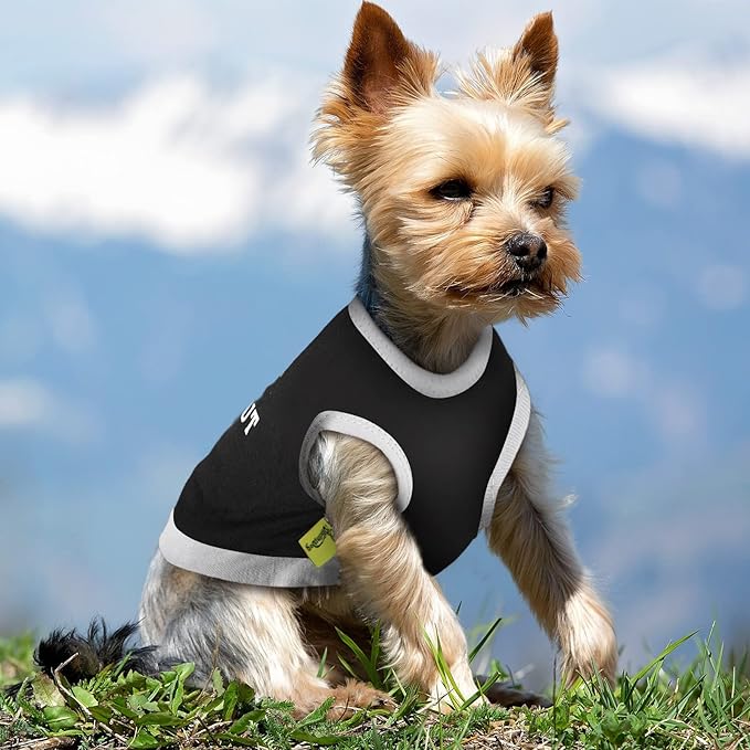 Reginary 8 Pcs Dog Clothes for Small Dogs Boy Summer Shirts Soft Breathable Chihuahua Yorkie Cute Pattern Sleeveless Puppy Cat Tank Top Tee Vest Fit for Mini and Medium Dogs(Small)