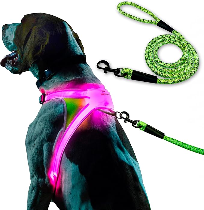 Noxgear LightHound (X-Large) + High-Visibility Dog Leash – Illuminated and Reflective Harness for Dogs Including Multicolored LED Fiber Optics (USB Rechargeable, Adjustable, Lightweight, Rainproof)