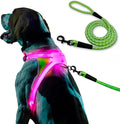 Noxgear LightHound (Small) + High-Visibility Dog Leash – Illuminated and Reflective Harness for Dogs Including Multicolored LED Fiber Optics (USB Rechargeable, Adjustable, Lightweight, Rainproof)