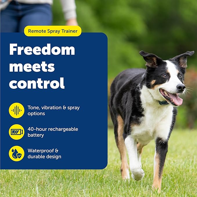 PetSafe Remote Spray Trainer, Dog Training Collar - 3 Modes: Tone, Vibration or Spray - Rechargeable and Water-Resistant Includes Citronella and Unscented Spray Refills - 300 Yards (900 Feet) Range