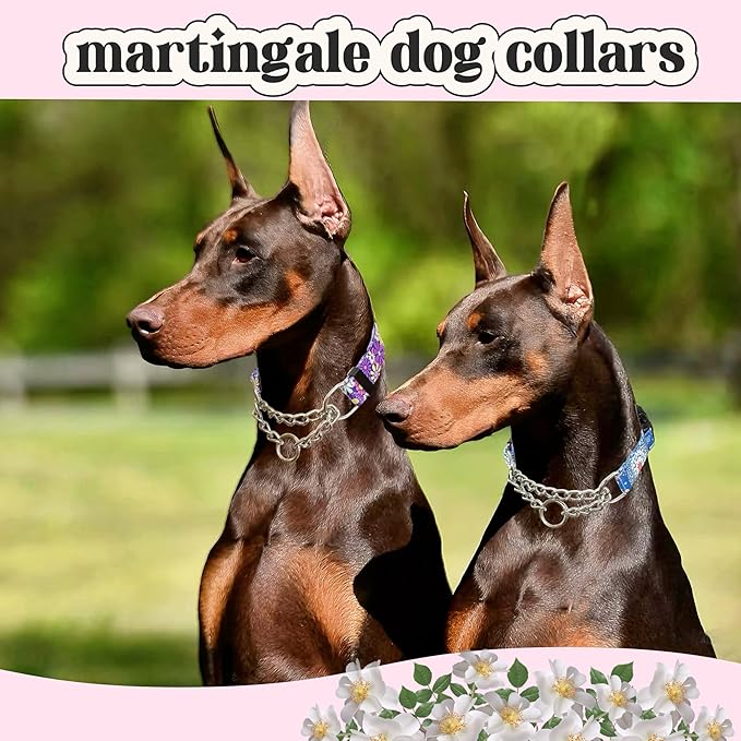 Martingale Dog Collar with Chain Stainless Steel, Nylon Dog Collar Flowers Pattern, Adjustable Training Walking Collar with Quick Release Buckle, Slip Chain Collar for Puppy Medium Large Dogs