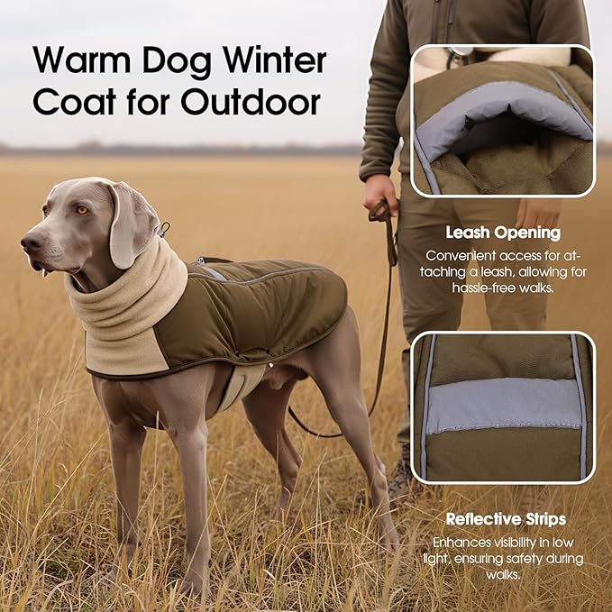 ASENKU Dog Coat, Dog Winter Jackets with Fleece Turtleneck, Windproof, Reflective Pet Snow Jacket Doggie Vest for Cold Weather, Coats for Medium Dogs, Army Green, M