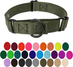 Country Brook Petz - Martingale Dog Collar - Heavy-Duty Training Collar with No Buckle - Service Dog Collar for All Pups - 10+ Cool Colors (Dark Olive Drab, 3/4 Inch, Small)