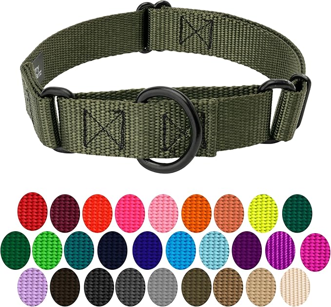Country Brook Petz - Martingale Dog Collar - Heavy-Duty Training Collar with No Buckle - Service Dog Collar for All Pups - 10+ Cool Colors (Dark Olive Drab, 3/4 Inch, Small)