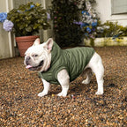 Fleece Lining Extra Warm Dog Hoodie in Winter for Small Dogs Jacket Puppy Coats with Hooded Green M