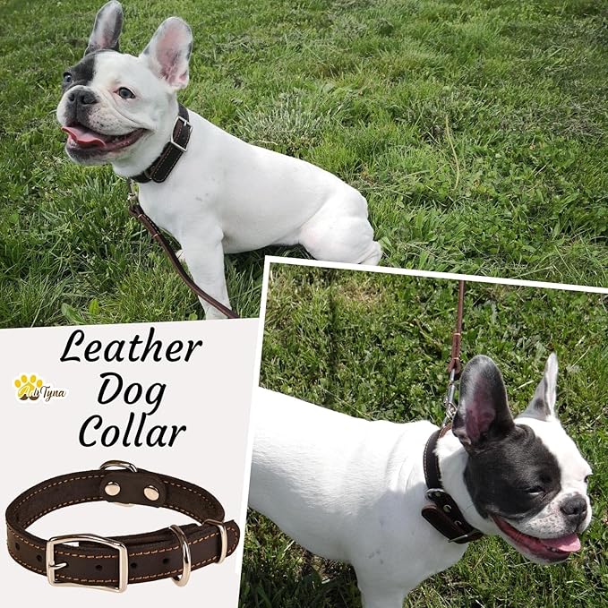 Heavy Duty Black Leather Dog Collar – Soft and Strong Dog Collar for Puppy or Small Breeds Like Cavalier and Miniature Schnauzer (Small: Fit 10" - 14.5" Neck, Black)