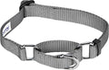 Blueberry Pet Essentials Martingale Safety Training Dog Collar, Flint Gray, Large, Heavy Duty Nylon Adjustable Collars for Dogs