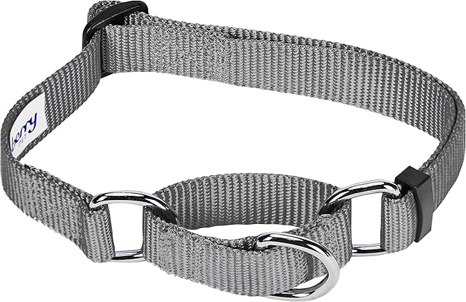 Blueberry Pet Essentials Martingale Safety Training Dog Collar, Flint Gray, Small, Heavy Duty Nylon Adjustable Collars for Dogs
