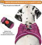Dog Harness with Leash Set, No-Pull Step-in Reflective Pet Harness with 1 Leash Clips, Adjustable Soft Padded Easy Walk Dog Vest for Small Medium Large Dogs, Cats(Rose Red, XSmall)