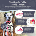 Lucky Love Dog Martingale Dog Collar - Adjustable, No-Slip, Durable, & Soft Webbing Collar for Male and Female Dogs Ideal for Training & Walking - Molly, Medium