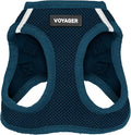 Best Pet Supplies Voyager Step-in Air Harness - All Weather Mesh, Reflective, No Pull Harness for Dogs, Cats - Secure with Hook & Loop Fastener, Buckle, Double D-Rings - Blue, XXXS