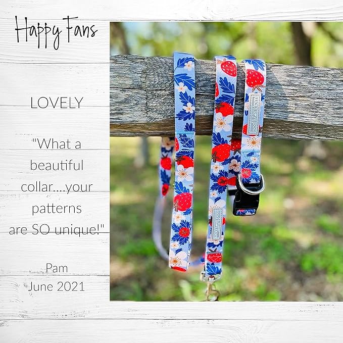 Lucky Love Dog Martingale Collar, Premium Fun Girl No Slip Collars, Strawberry Martingale Large Dog Collar, Great for Whippets, Greyhounds, and More (Sweet Berry, Large)