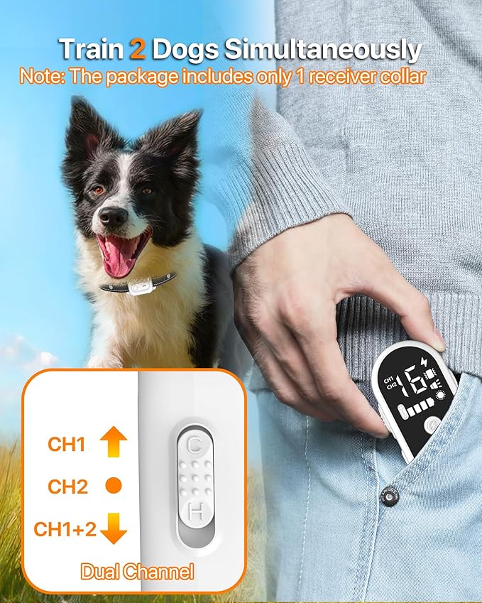 Dog Training Collar with Remote Control, 3300FT Rechargeable Shock Dog Training Collar for Small Medium Large Dogs, IPX7 Waterproof & 4 Safe Modes Flashlight Beep Vibration Shock