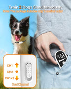 Dog Training Collar with Remote Control, 3300FT Rechargeable Shock Dog Training Collar for Small Medium Large Dogs, IPX7 Waterproof & 4 Safe Modes Flashlight Beep Vibration Shock