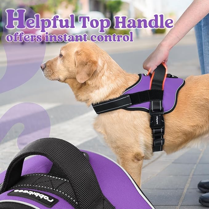 rabbitgoo Dog Harness Small Sized, No Pull No Choke Pet Vest, Easy Wearing with One Buckle, Reflective, Adjustable Pet Harness with Molle for Walking, Training, Purple, S