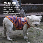 KYEESE 2Pack Dog Shirts Striped for Small Dogs Soft Stretchy T-Shirts Lightweight Tank Top Sleeveless Dog Vest Breathable Cat Shirt, Small, Orange+Green
