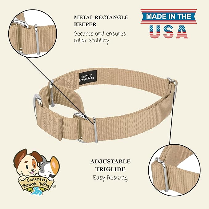 Country Brook Petz - Martingale Dog Collar - Heavy-Duty Training Collar with No Buckle - Service Dog Collar for All Pups - 10+ Warm Colors (Copper Gold, 3/4 Inch, Small)