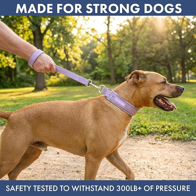 Spark Paws Martingale Dog Collar – Cushioned Slip-On Training Collar, Heavy Duty, Safety-Tested No-Buckle Collar for Medium & Large Dogs - Lilac - A