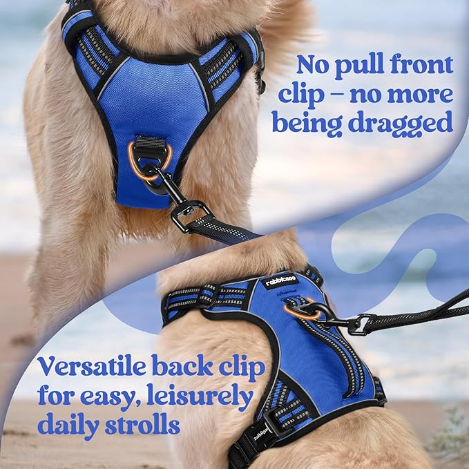 rabbitgoo Dog Harness for Large Dogs, No Pull Pet Harness with Soft Padded Handle, Adjustable Reflective Vest with 3 Buckles, Easy Walking Harness with 2 Leash Clips, Blue, L