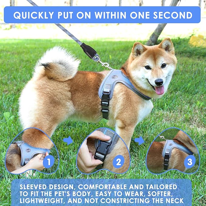 Dog Harness and Leash Set, No Pull Saddle Style Pet Harness, Breathable Mesh Adjustable Reflective Dog Vest for Dogs and Cat Medium Small Harness 2 D-Rings (Blue, S)