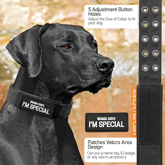 Tactical Military Dog Collar Adjustable Training Nylon Collar Heavy Duty Metal Buckle with Black Patch, Tactical Collars for Medium Large Dogs (Green, X-Large)