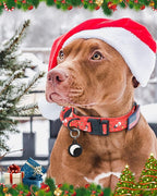 Hotsky Christmas Tactical Dog Collar, Adjustable Military Training Xmas Collar with Handle and Have Duty Metal Buckle for Medium Large Dogs, with Airtag Holder and 2 Patches(Christmas Red,M)