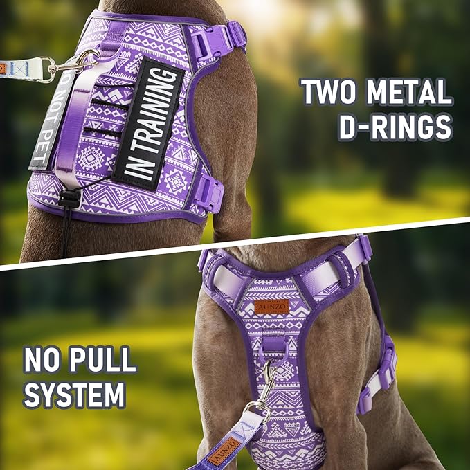 Dog Vest Harness with 2 Patches, No Pull Dog Harness for Walking Training Hiking, Metal D-Rings Easy on/Off Neck Buckle Reflective Strips Soft Padded Handle, Purple
