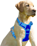 BARKBAY No Pull Dog Harness Front Clip Heavy Duty Reflective Easy Control Handle for Large Dog Walking(Sapphire Blue & Blue,M)