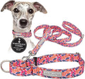 Lucky Love Dog Martingale Dog Collar & Leash - Adjustable, No-Slip, Durable, Comfortable, Soft Webbing, & Stylish Patterned Collar & Leash Set for Male and Female Dogs - Rosie Combo, Medium