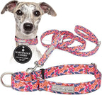 Lucky Love Dog Martingale Dog Collar & Leash - Adjustable, No-Slip, Durable, Comfortable, Soft Webbing, & Stylish Patterned Collar & Leash Set for Male and Female Dogs - Rosie Combo, Medium