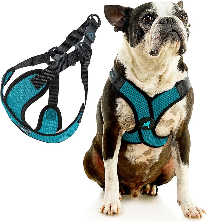 Gooby Comfort X Step in Lite Dog Harness - Choke Free, Escape Free with Light Breathable Mesh - Dog Harness for Small and Medium Breeds - Quick Release Buckle, Metal D-Rings - Turquoise, Small