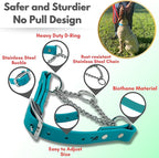 Martingale Collar for Dogs, Biothane, Stainless Steel Hardware, No Pull, Made in The USA, Professional Grade, Medium, Teal