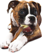 Nylabone Femur Bone Alternative Power Chew Toy for Dogs, Dog Toys for Aggressive Chewers, Beef Flavor, Large - Up to 50 lbs, 1 Count