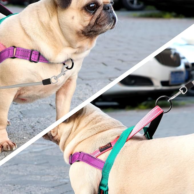 Didog No Pull Dog Harness with Soft Padded Handle, Quick Fit & Lightweight Adjustable Vest Harness, Easy for Training Walking for Small & Medium and Large Dogs(Dark Green,S)
