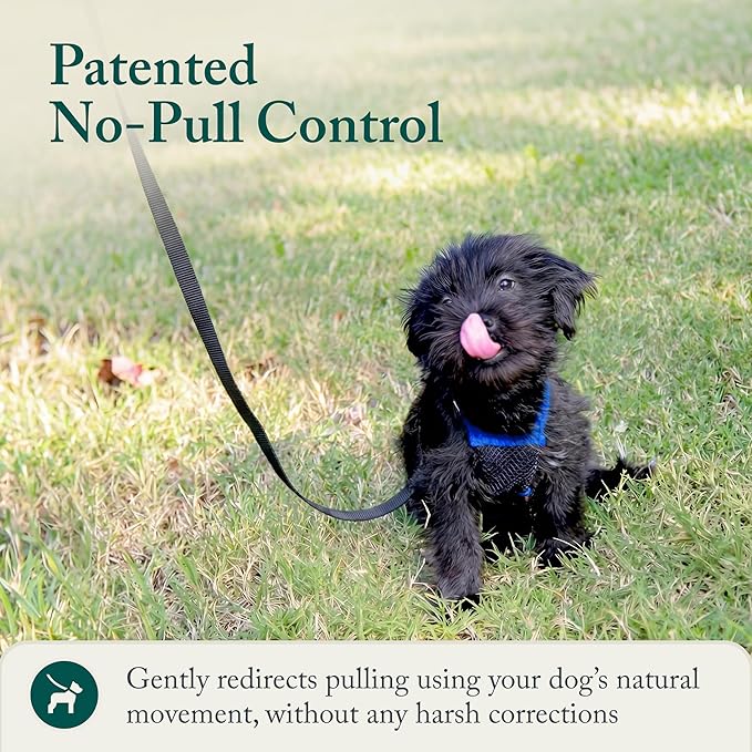 SPORN Mesh Non Pull Dog Harness Small Blue, Perfect for Training-Stops Dogs from Pulling and Choking on Walks for Small, Medium and Large Dogs, Puppy Harness, No Pull Harness, No Choke Harness