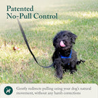 SPORN Mesh Non Pull Dog Harness Small Blue, Perfect for Training-Stops Dogs from Pulling and Choking on Walks for Small, Medium and Large Dogs, Puppy Harness, No Pull Harness, No Choke Harness