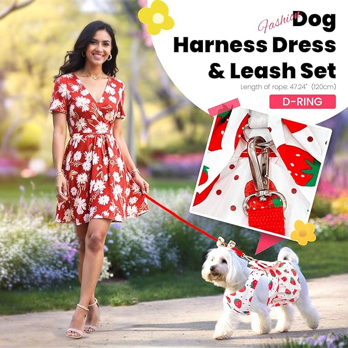 Cute Dog Dress Small Dog Clothes for Girls Female Puppy Outfits Red Strawberry Pet Summer Clothes Bowknot Doggy Cat Princess Dresses Harness for Holiday Birthday Party Costume Clothing (Red,M)