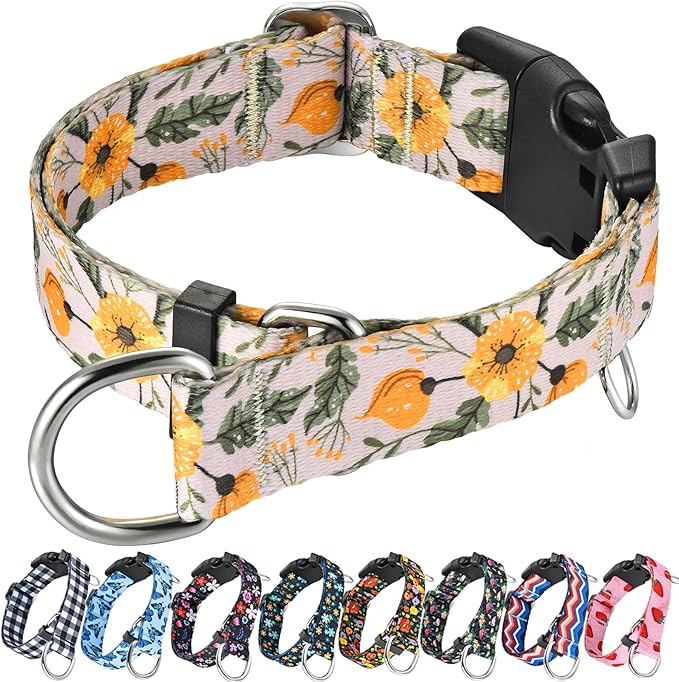 Martingale Collar for Dogs with Buckle Anti Pull Adjustable Nylon Limited Slip Training Dog Collars (Beige Floral, Medium)