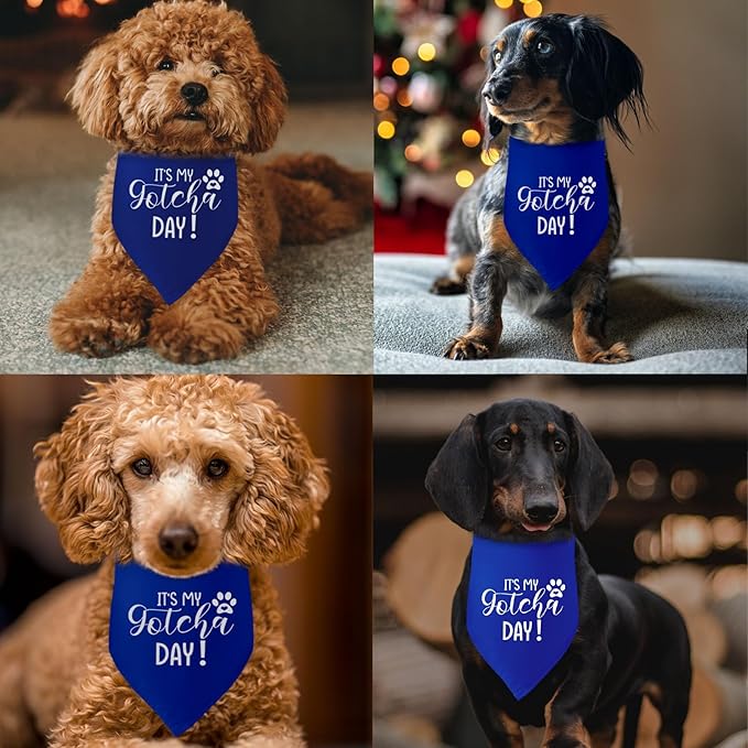 It's My Gotcha Day Blue Dog Bandana Adoption Day Dog Bandana for Dogs Funny Pet Dog Puppy Bandana Photo Prop Accessories for Pet Dog Lovers Owner Gift