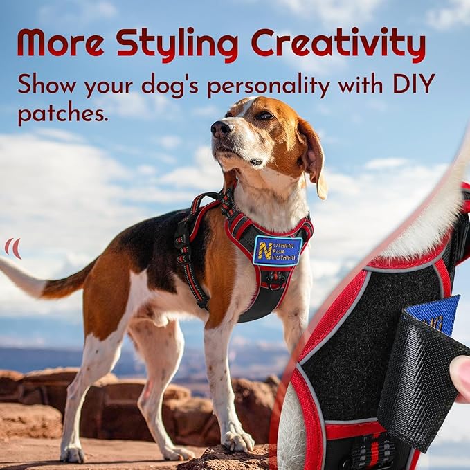 Eagloo Dog Harness Medium Sized, Easy Wearing with 3 Buckles, Adjustable No Pull Pet Harness with 2 Rings for Walking, No Chock Reflective Soft Padded Vest with Control Handle, Black & Red, M