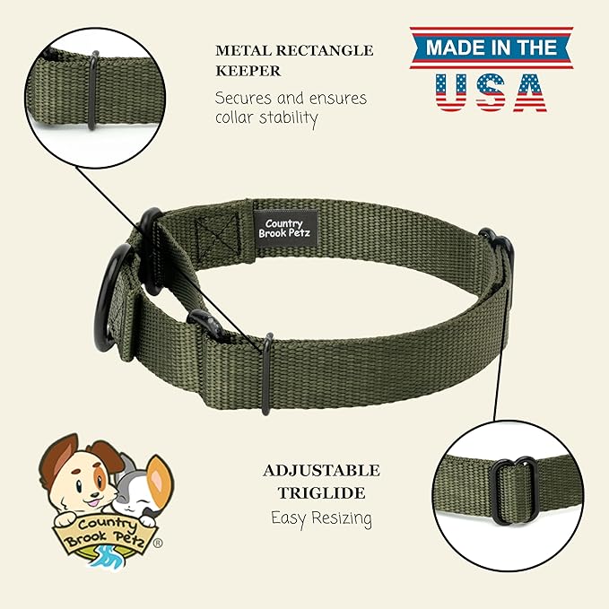 Country Brook Petz - Martingale Dog Collar - Heavy-Duty Training Collar with No Buckle - Service Dog Collar for All Pups - 10+ Cool Colors (Dark Olive Drab, 3/4 Inch, Small)